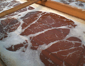 虹夕諾雅采用全開放式設計