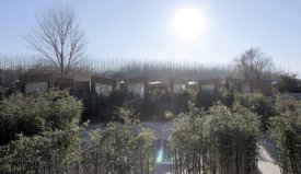 竹主題溫泉酒店：北京WHY溫泉酒店規劃設計——海森溫泉設計智庫